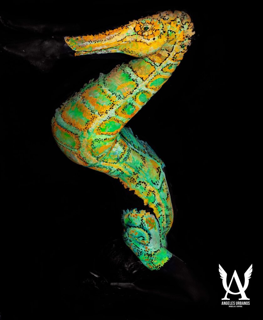 wbf bodypainting